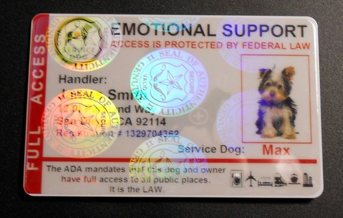 Holographic Emotional Support Animal ID Card Service Dog ID Badge 8 ESA ...