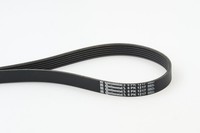 NEU - Continental Ctam 6PK1217 Keilrippenriemen FüR Chevrolet CitroËN Ford GAZ