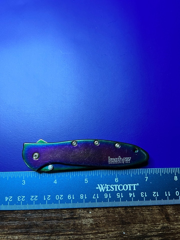 Kershaw USA Leek 1660VIB Rainbow Assisted Open Plain Edge Pocket Knife