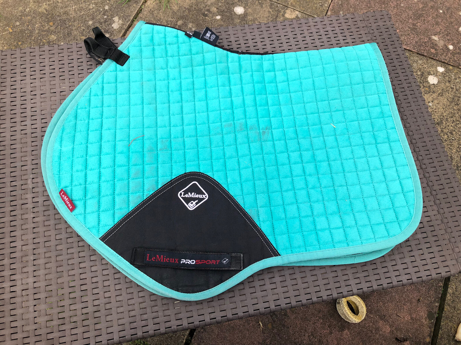 MIDNIGHT SM Discontinued GP & M EARS Le Mieux Saddle Cloth Numnah