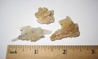 3 SMALL RARE NATURAL 0.75"-1.4" SCOLECITE & GOLDEN CALCITE CRYSTAL CLUSTERS 8.5g — photo 6