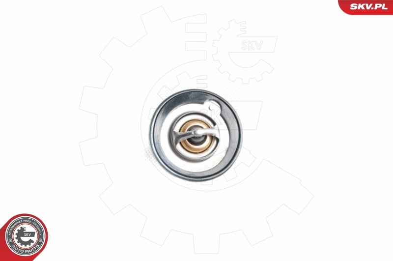 Fits SKV GERMANY 20SKV043 THERMOSTAT  ⭐UK Stock⭐