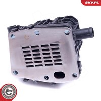 Esen Skv Agr-Ventil 14SKV231 FüR CitroËN Ford Peugeot
