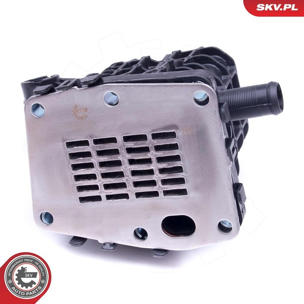 Esen Skv Agr-Ventil 14SKV231 FüR CitroËN Ford Peugeot-image