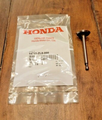 HONDA Intake Valve GCV160 GCV190 GSV190 HRR216 14711-ZL8-000 HONDA Intake Valve GCV160 GCV190 GSV190 HRR216 14711-ZL8-000