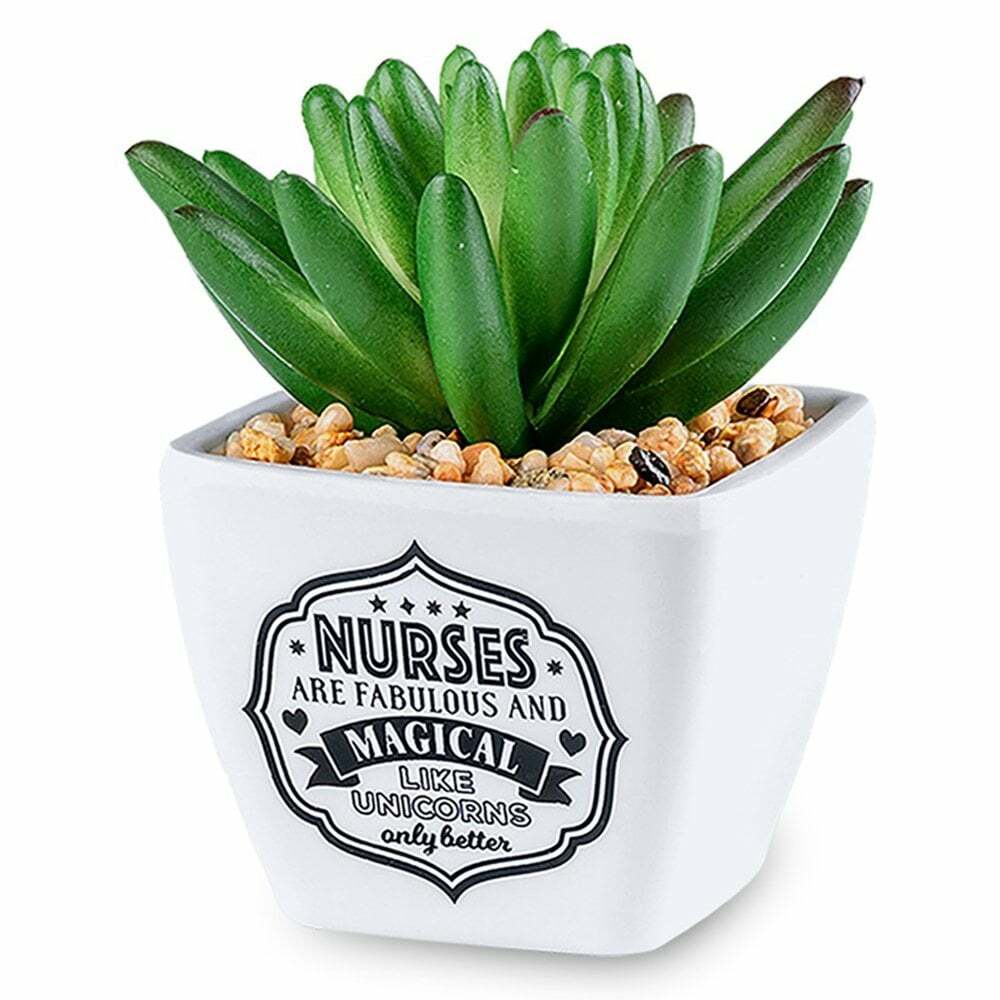 H&H Sentiment Succulent Artificial Plant Pot  - Nurse 00281000018
