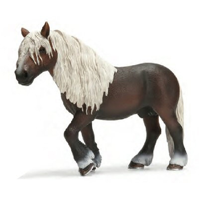 therapy for dogs near me