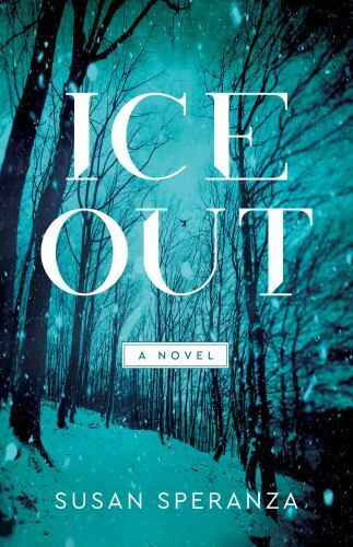 Ice Out : A Novel by Susan Speranza (2022, Trade Paperback)