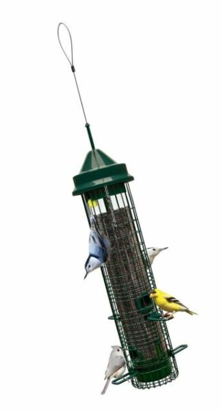 Brome Squirrel Buster Classic Wild Bird Feeder, 1015 for sale online | eBay