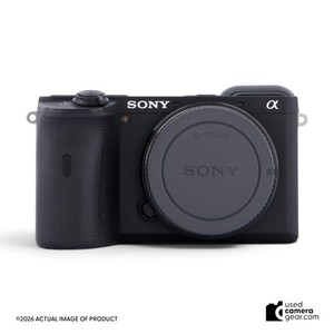 Sony A6600 Body | eBay