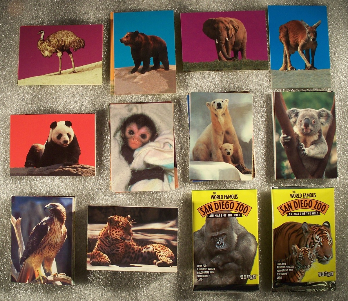 SAN DIEGO ZOO CARD SET - 110 CARD SET Animals | eBay