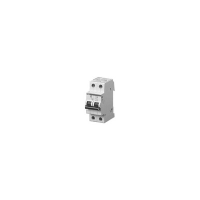 ABB Stotz S&J Sicherungsautomat 6kA 10A C 2p S202-C10