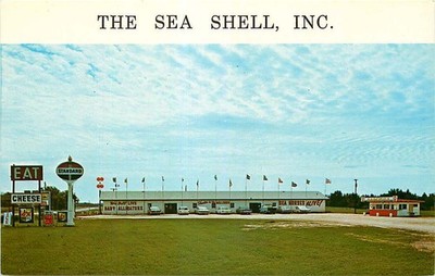 Roadside Postcard The Sea Shell, Inc. Sea Shell Shop, Tomah, Wisconsin ca 1960s