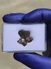 Agoudal Iron Meteorite 3.274g Individual Natural Hole Rare IIAB Iron COA — photo 7