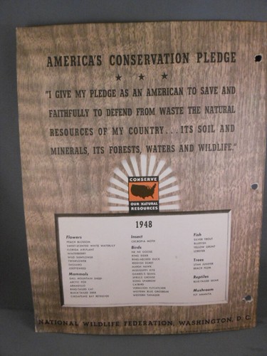 Complete 1948 Wildlife Conservation Stamp Album Deer - Picture 3 of 6