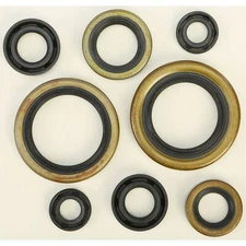 Vertex Oil Seal Set 822274