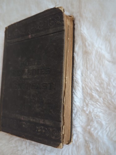 Home Remedies for Man and Beast Jefferis Davis 1891 HC The Household Guide 2nd - Foto 3 di 12
