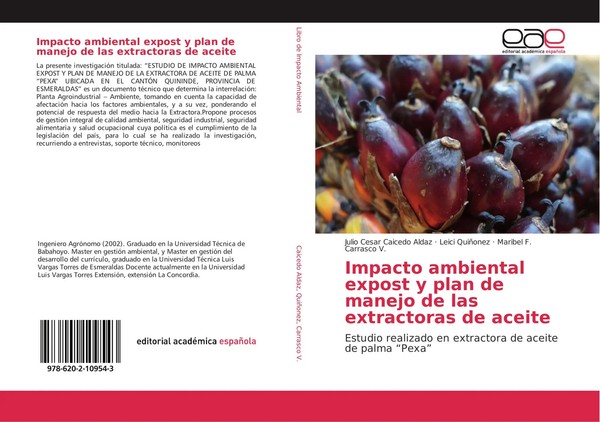 Julio Cesar Caicedo Aldaz (U. A.) | Impacto Ambiental Expost Y Plan De Manejo...-image