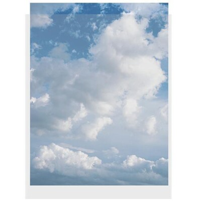 ClearFile Print Protector (9 x 12'', 100-Pack)