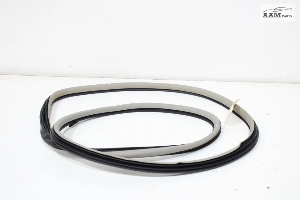 Cadillac CTS 2014-2019 carrocería de puerta lateral derecha resistente a la intemperie sello de goma OEM Foto 2 de 4