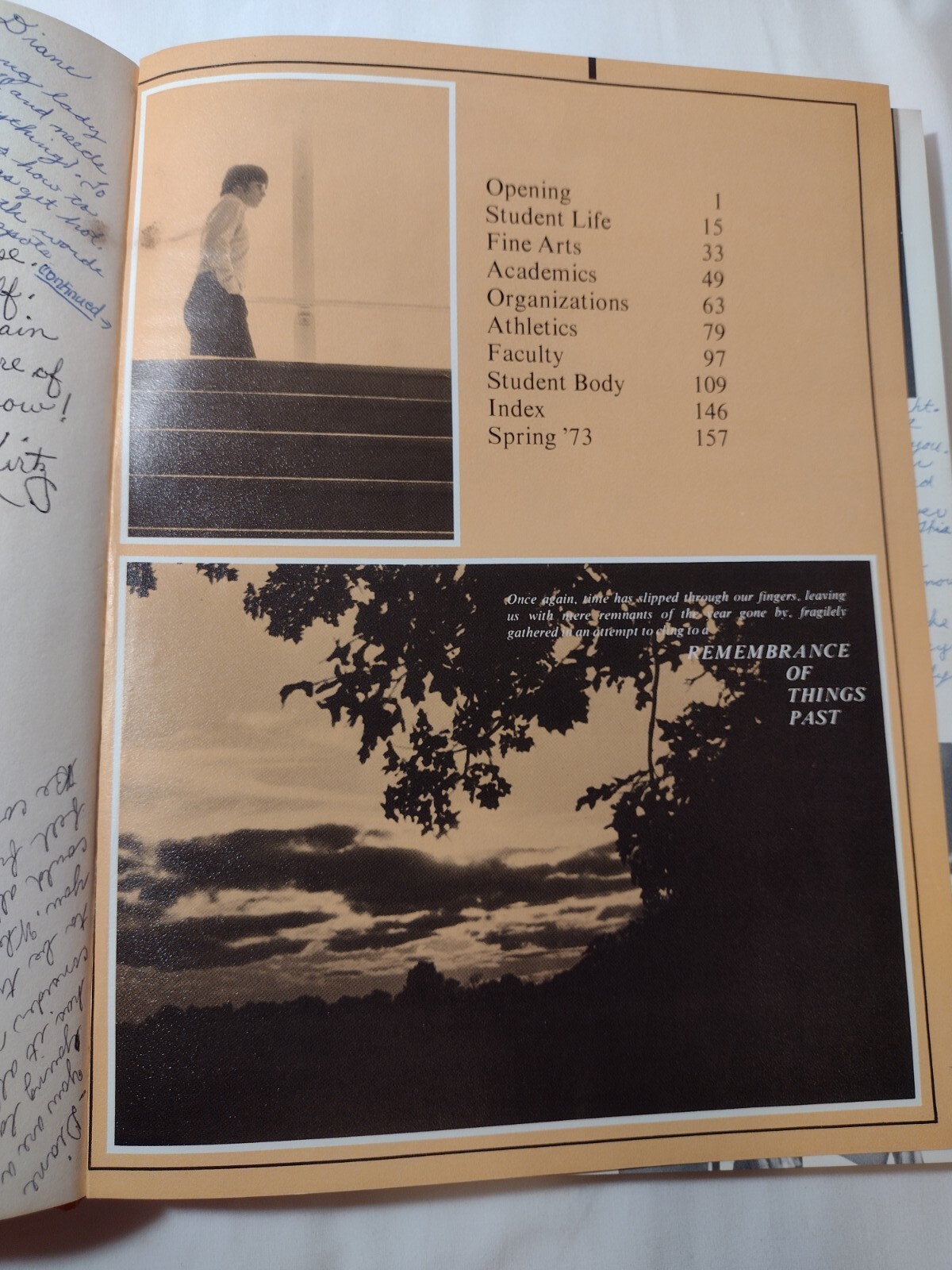 Picture 3 of 7