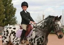 Eous English Saddle Horse Childrens Kids Hunt Show Coat Jacket sz. 8 10 12 14 16