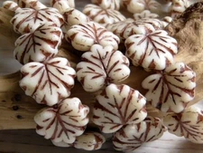 10 - 13x11mm CZECH MAPLE LEAF GLASS BEADS WHITE WITH BROWN WASH VEINING, LEAVES