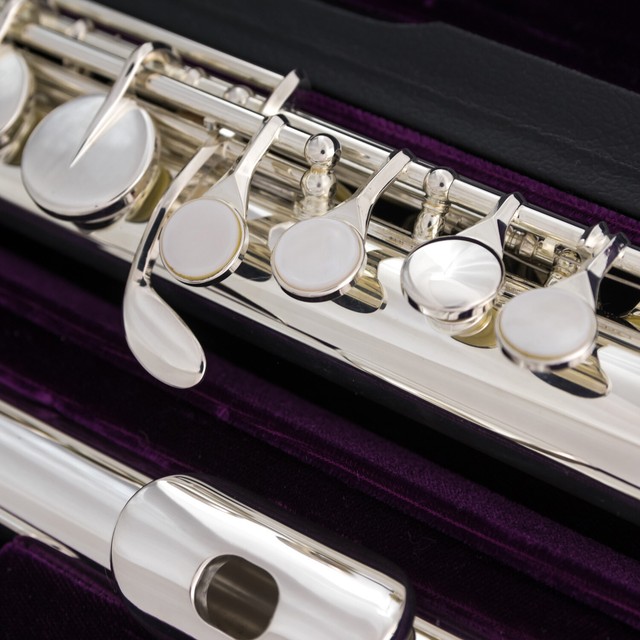 Trevor James Alto Flute 33223CD Performer Series Straight & Curved