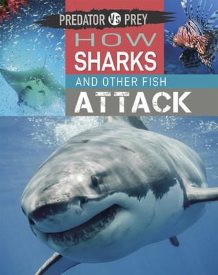 Predator vs Prey: How Sharks and other Fish Attack | Tim Harris | Englisch