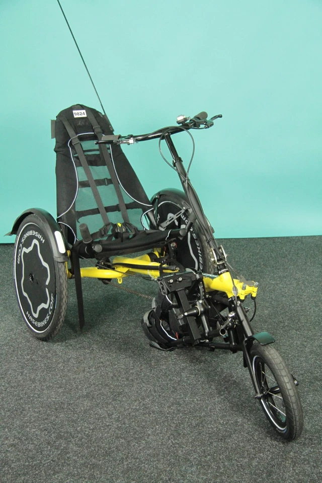 Hase Bike Trets für Kinder Liege-Dreirad Liegerad ohne Gangschaltung #9824 - Bild 2 von 4