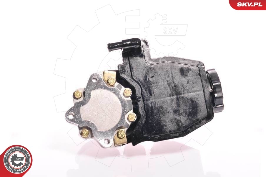 Fits SKV GERMANY 10SKV160 POWER STEERING PUMP  ⭐UK Stock⭐
