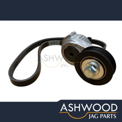 Jaguar X-Type V6 Water Pump Drive Belt AND Tensioner