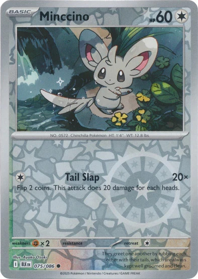 ⚫Pokemon - Minccino - Reverse Holo - 075/086 - SV: Black Bolt - (NM)⚫