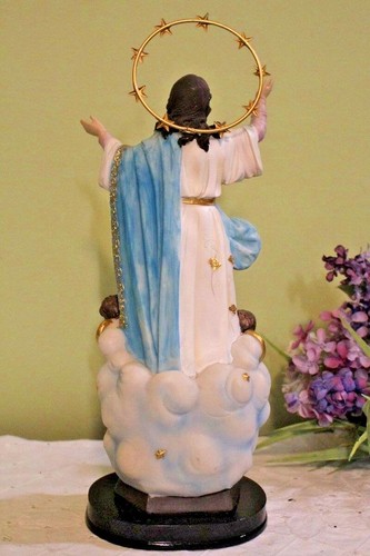 Maria Statue Unbefleckte Empfängnis 13 Zoll Stern Heiligenschein Indoor Outdoor Harz - Bild 5 von 5