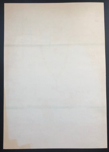 NEAR MINT 1st Print Poster NR-4-OP-1 Janis Joplin Big Brother 2/5/1967 SCARCE! - Picture 4 of 5