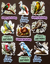 Beautiful DIE CUT CARD TOPPERS Australian Birds Fairy Wren Eagle Greetings