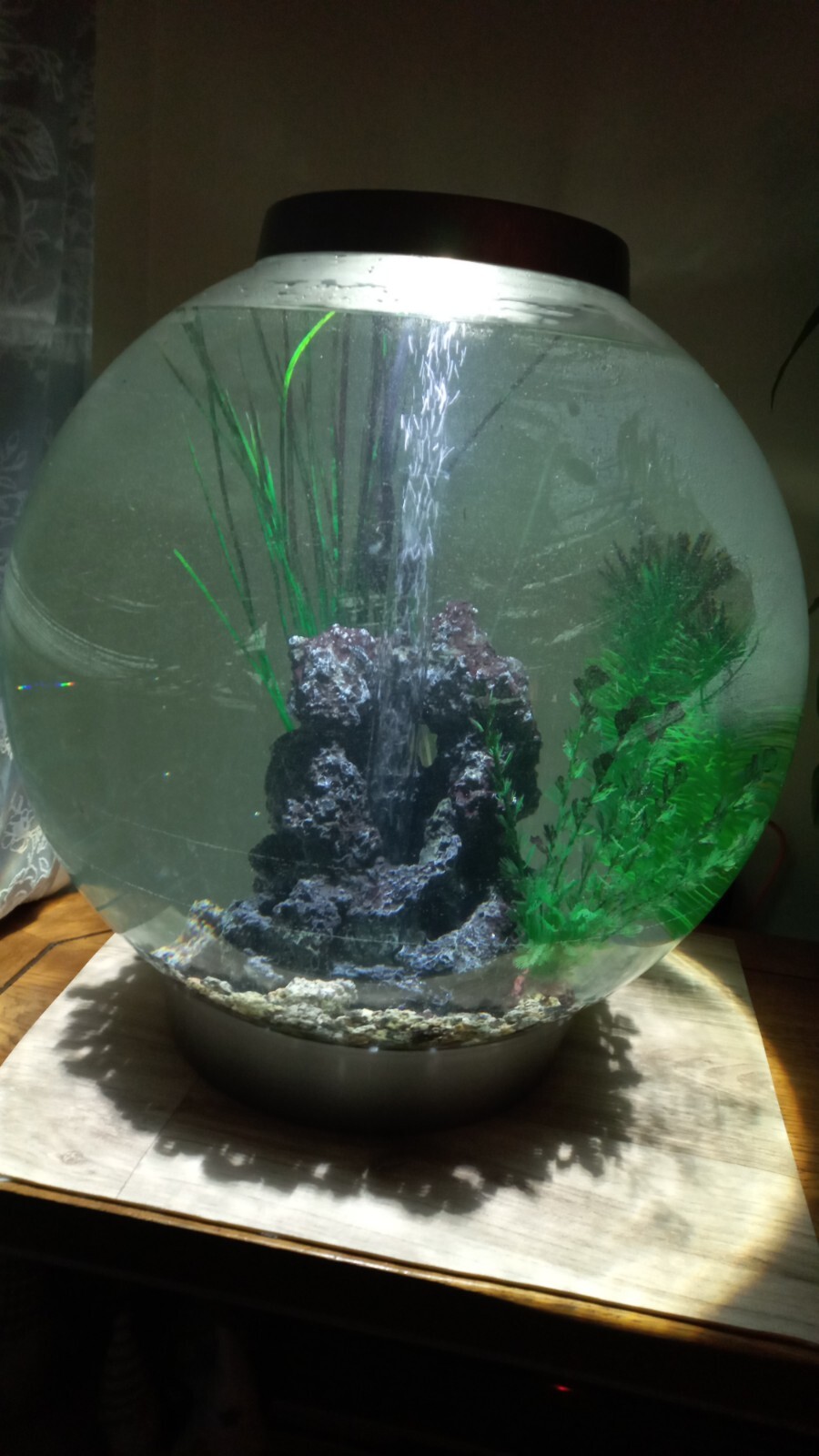 bio orb fish tank 60l complete set up. eBay