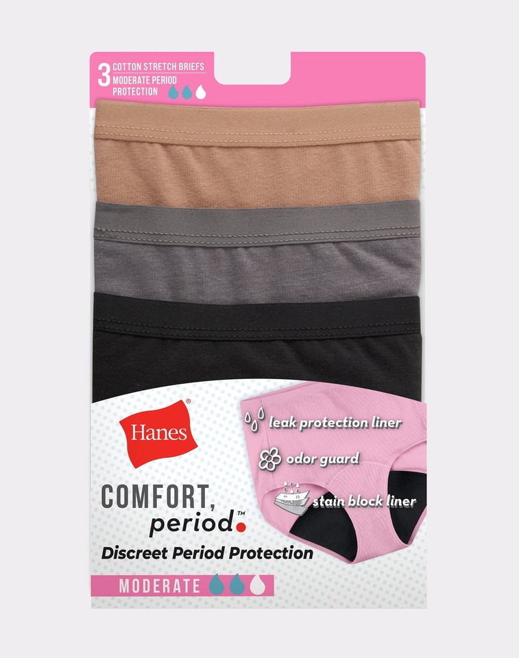 Hanes Brief 3-Pack Panties Fresh & Dry Moderate Leak Protection Womens Underwear | eBay