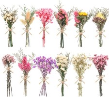 12/24 Pack Dried Flowers for Vase Various Mini Bouquet Dried Small Wildflowers N