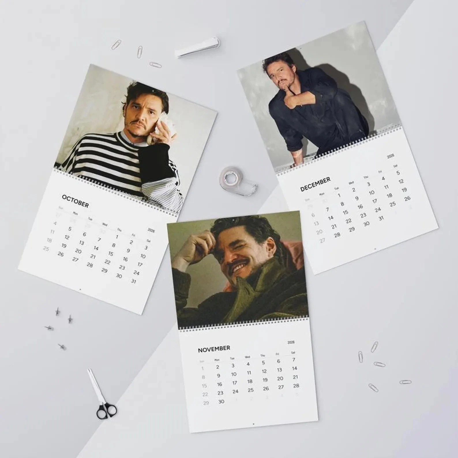 Pedro Pascal 2026 Calendar, Celebrity Crush Monthly Planner, Funny Wall Calendar