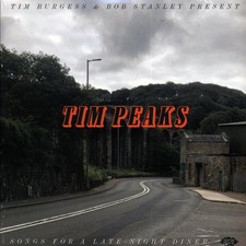 VINYL Echo & The Bunnymen, The Gist, Young Marble Giants, Etc. - Tim Burgess & B