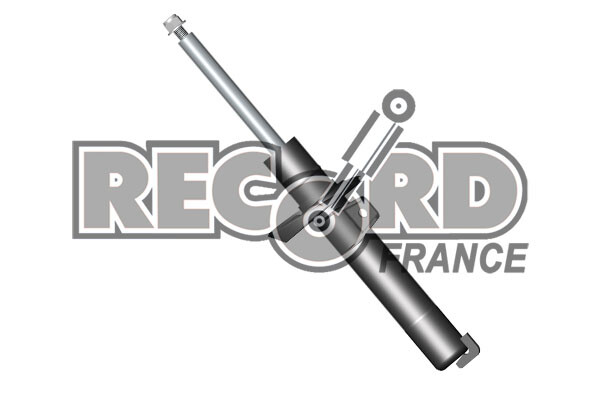 Amortisseur RECORD FRANCE 104503 pour stopper les vibrations du châssis en conduite