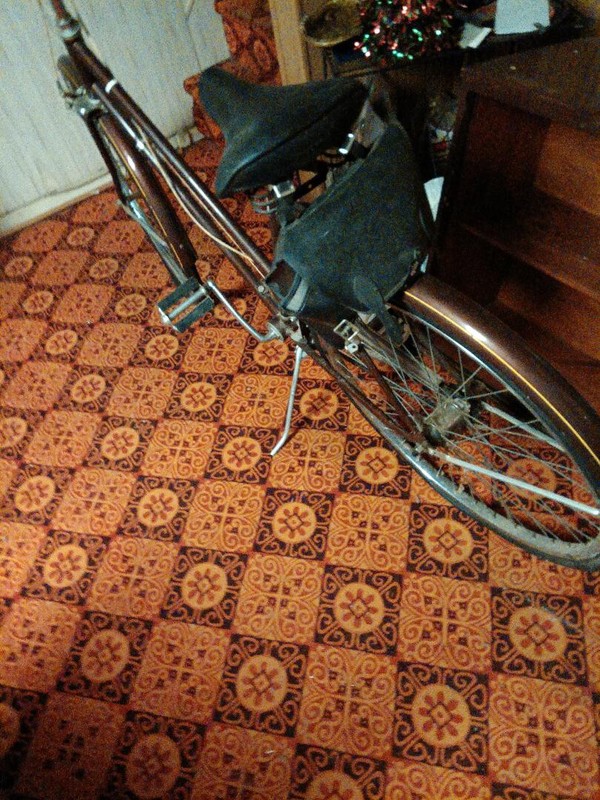 Vintage SEARS LADIES 3 SPEED BIKE-(Circa1970's)