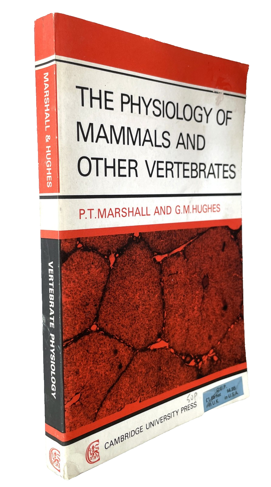 The Physiology of Mammals and Other Vertebrates biology text book vintage 1970s