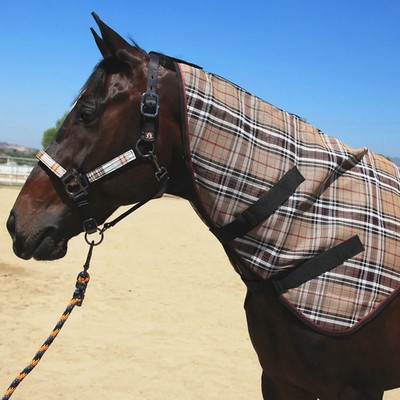 Kensington Protective Neck Piece