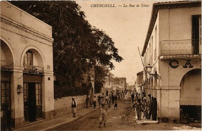 CPA ALGERIA CHERCHELL - La Rue de Tenes (794885)