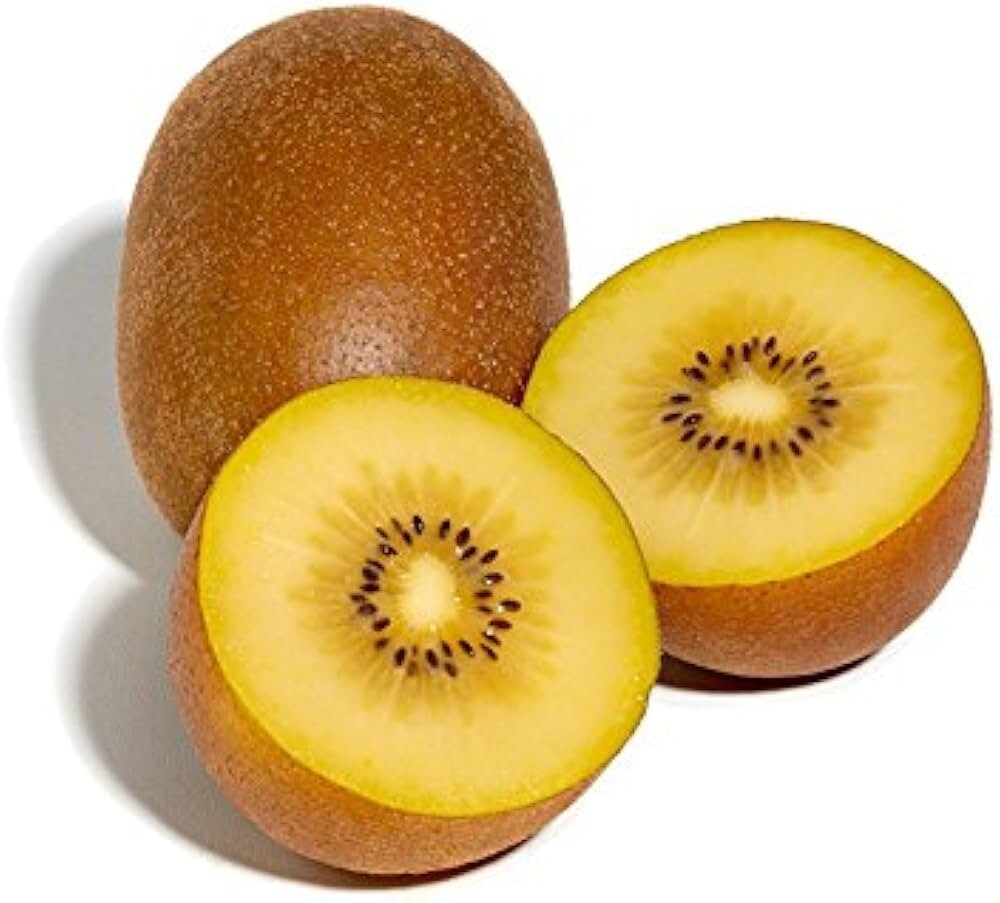 Sungold Golden Kiwi (50 seeds) / RARE / EXOTIC / DELICIOUS