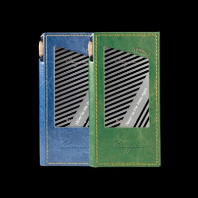 446　イヤホン11本 セット　ハードケース、cayin n5 ii 付き 446 イヤホン11本 セット ハードケース、cayin n5 ii 付き Cayin N5