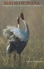 Photographic Guide to the Birds of India: Including Nepal, Sri Lanka, Bhutan, Pakistan and Bangladesh by Amano Samarpan (Paperback, 2006)