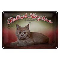 Blechschild Katze 30X20Cm British Kurzhaar GroßBritanien